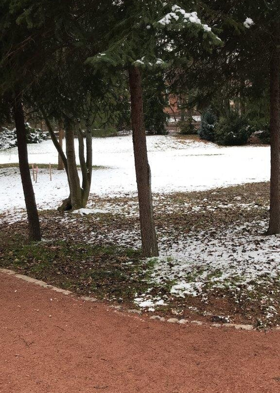 Schwanenteich Park-米特韦达必去景点