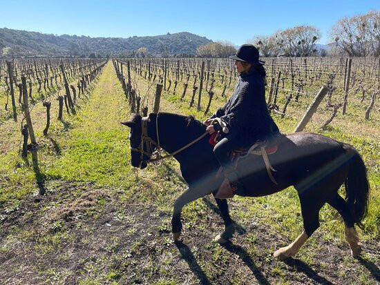 Cabalgatas Valle de Colchagua-圣克鲁斯必去景点
