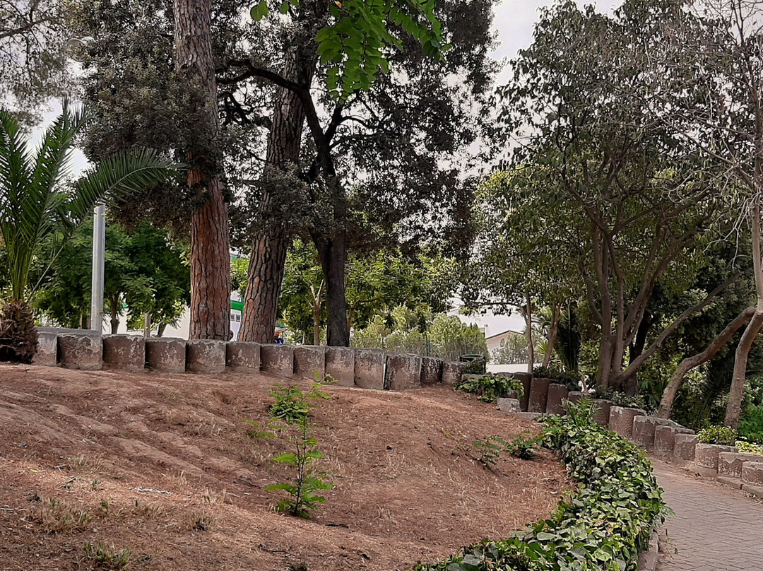 Parc de Can Xarau景点图片