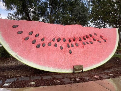 The Big Melon-Chinchilla必去景点