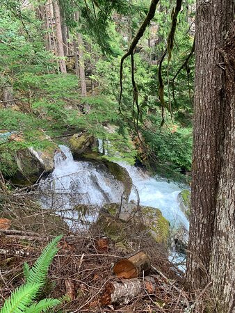 Ladder Creek Falls景点图片