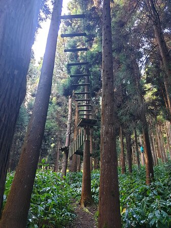 Makes Aventures-圣路易岛必去景点