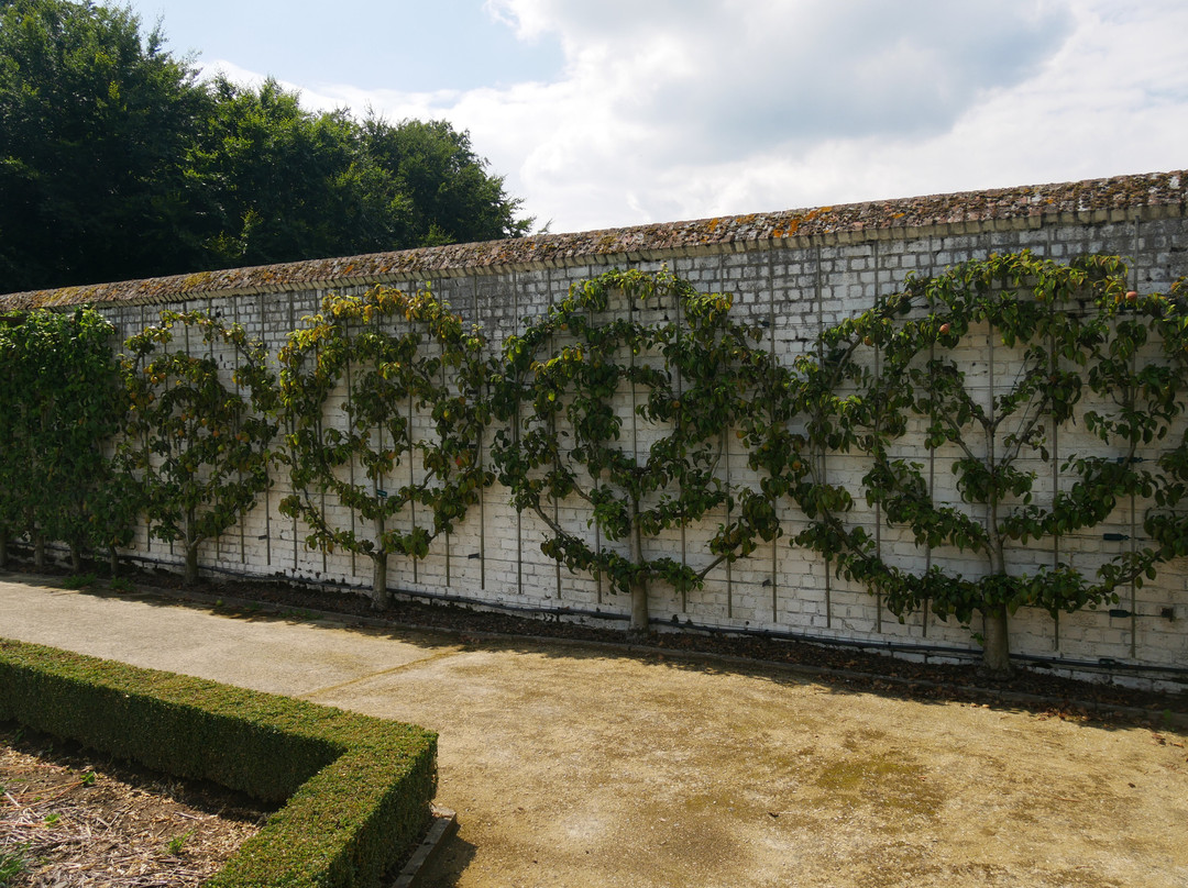Museumtuin Van Gaasbeek景点图片