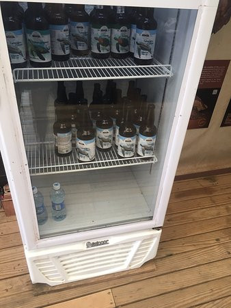 Fundação Projeto Tamar - Fernando de Noronha-费尔南多-迪诺罗尼亚群岛必去景点