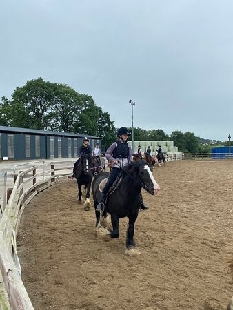 Boskill Equestrian Centre v94 yv83-Caherconlish必去景点