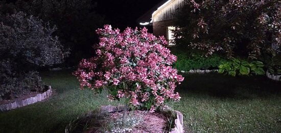 Hawberry Motel主图