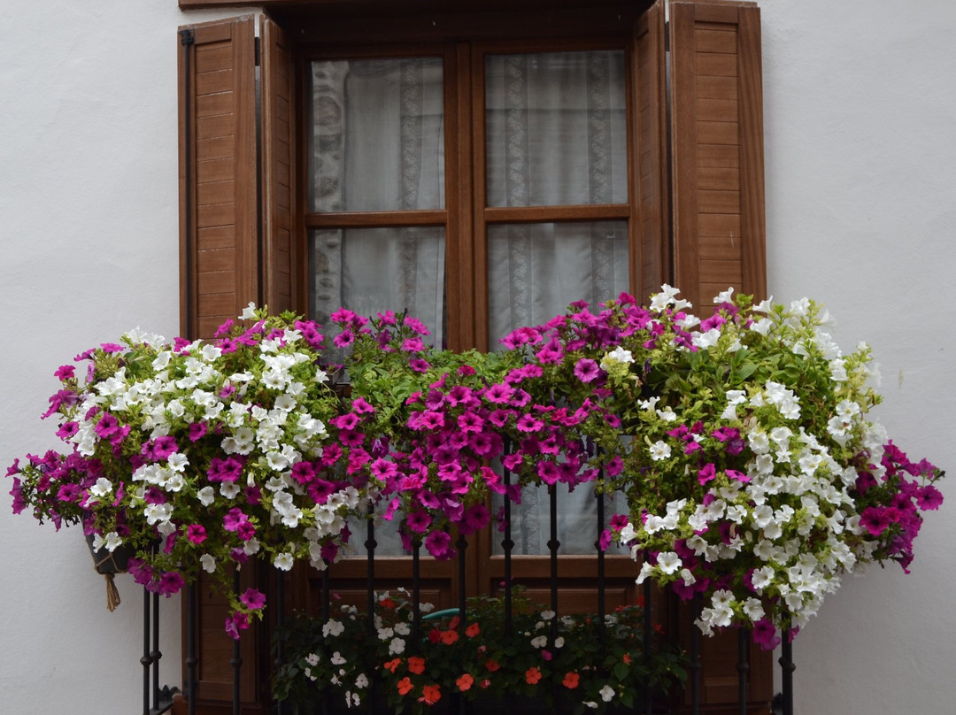 艾斯卡拉伊酒店住宿-Apartamentos La Buhardilla