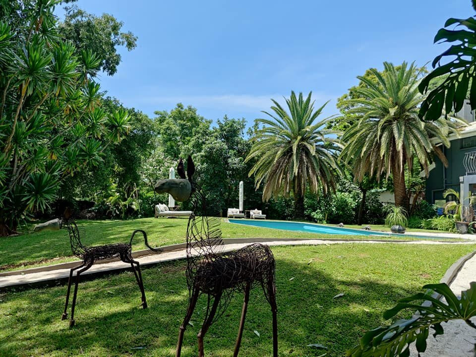 Latitude 13 Degrees主图