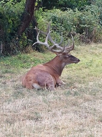 Albergo Ai 4 Camosci主图