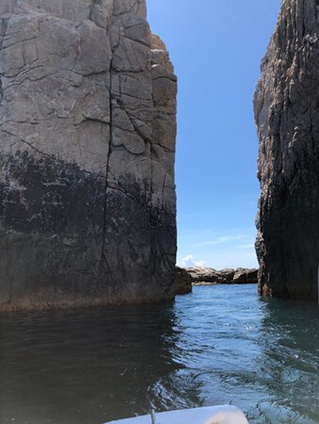 Lobitos Seafari-拉巴斯必去景点