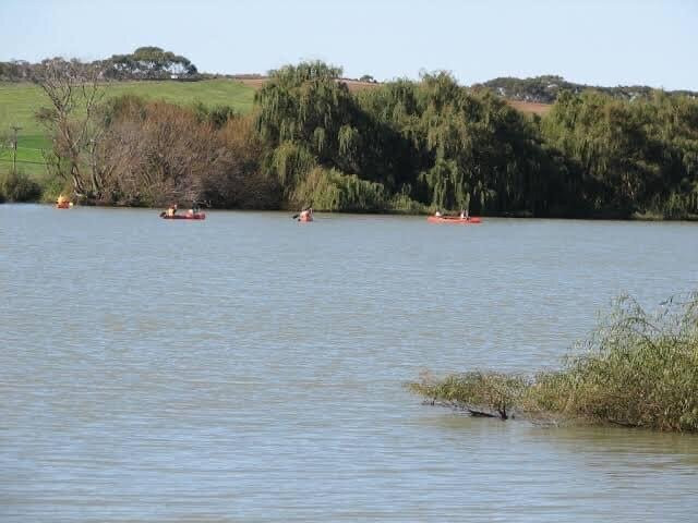 Swanport Reserve景点图片