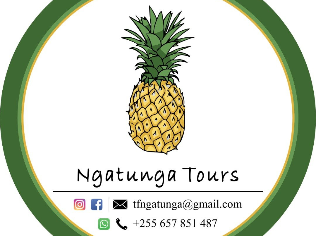 Ngatunga Tours景点图片