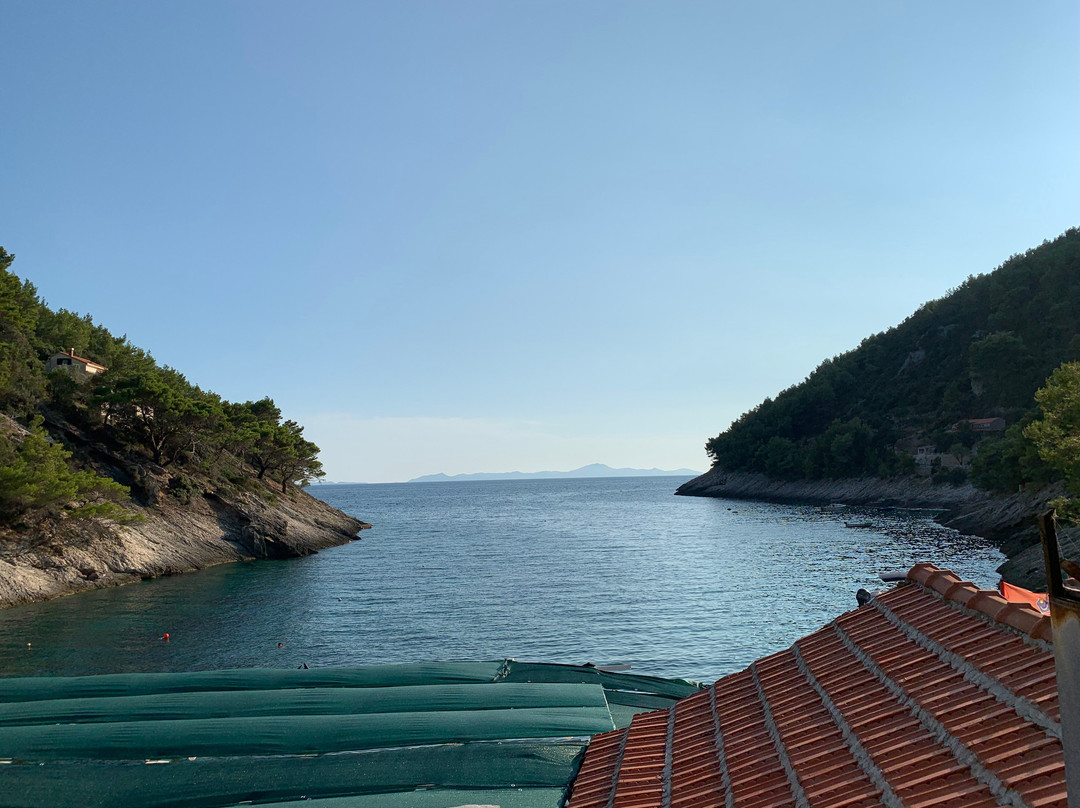 Bacva Beach景点图片