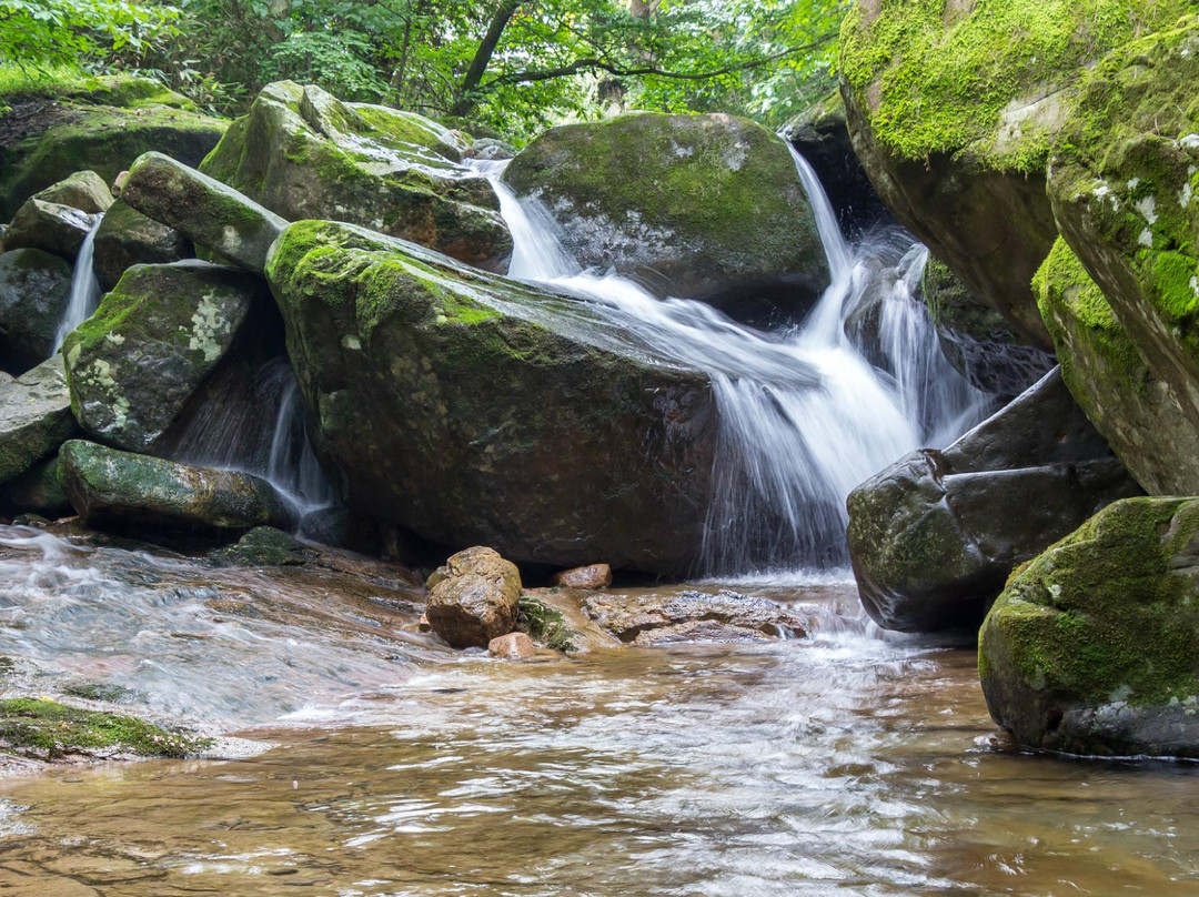 Mudeungsan National Park景点图片