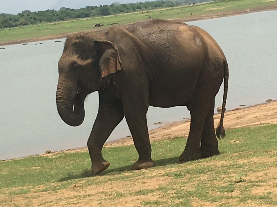 Srilankarundreisen.com-卡卢特勒必去景点