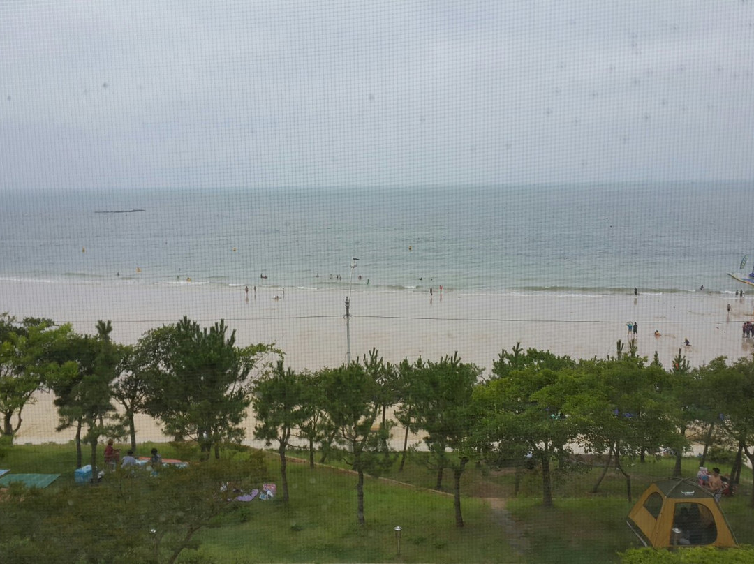 保宁市旅游景点-Boryeong Mud Festival