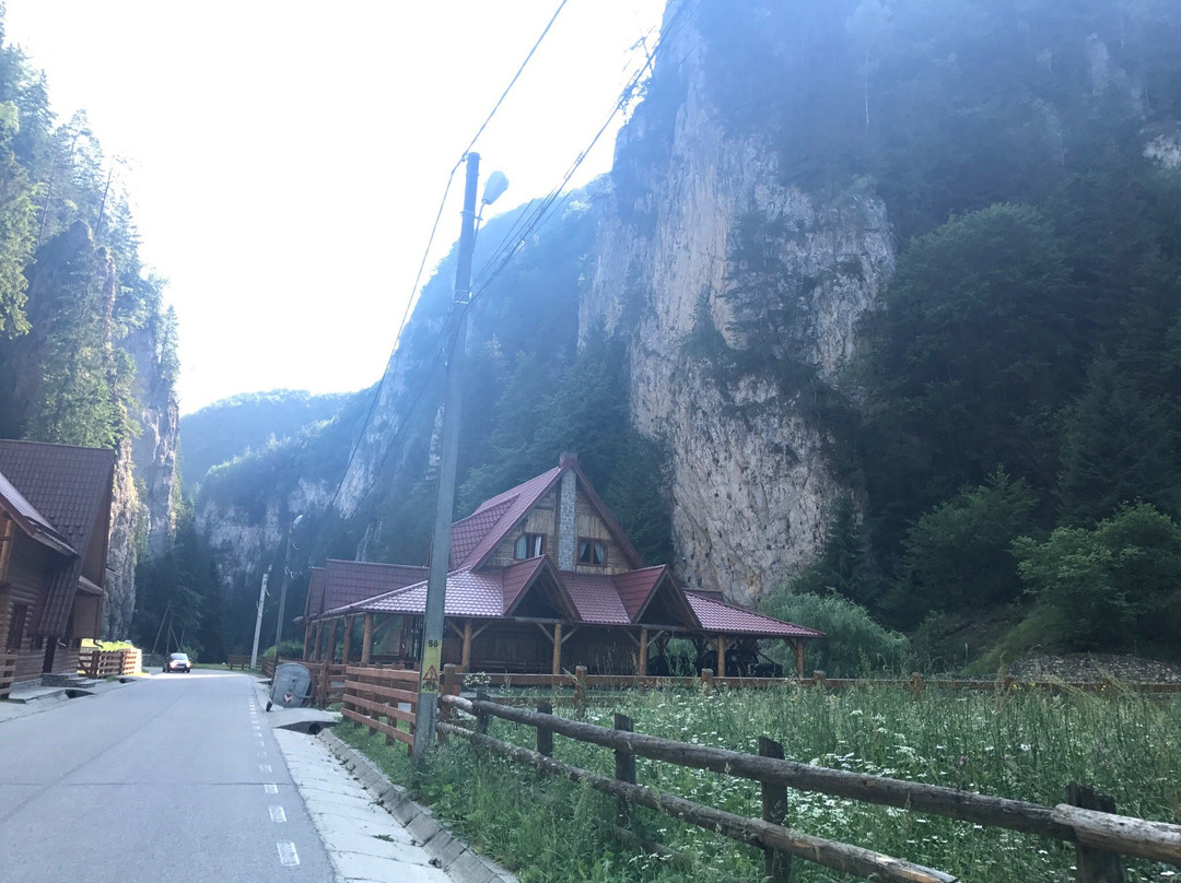 Dambovicioara旅游攻略图片