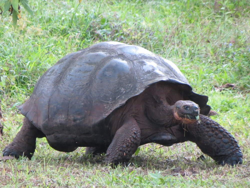 Santa Cruz Island-圣克鲁斯必去景点