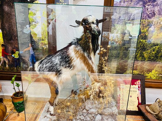 Museo del Queso El Bosque景点图片