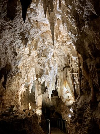 萤火虫汽车旅馆主图