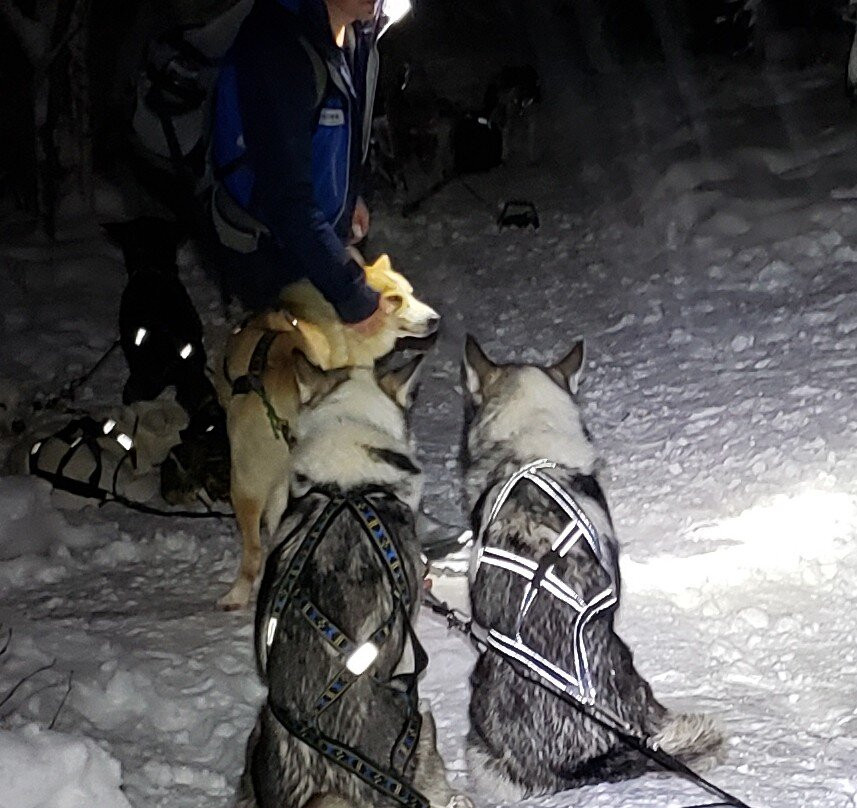 Are Sleddog Adventures景点图片