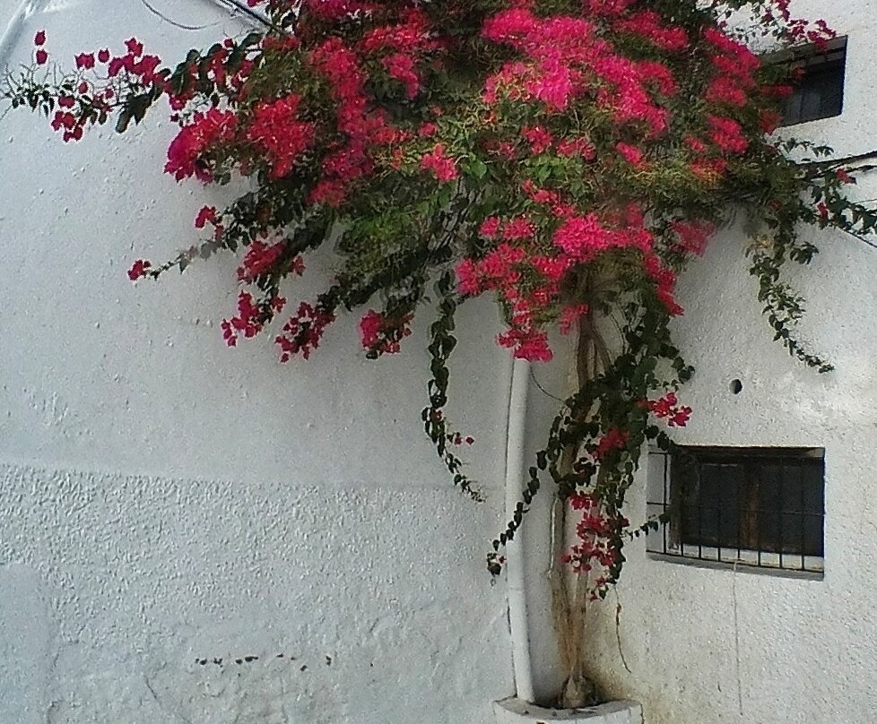 Mojácar Pueblo Old Town景点图片