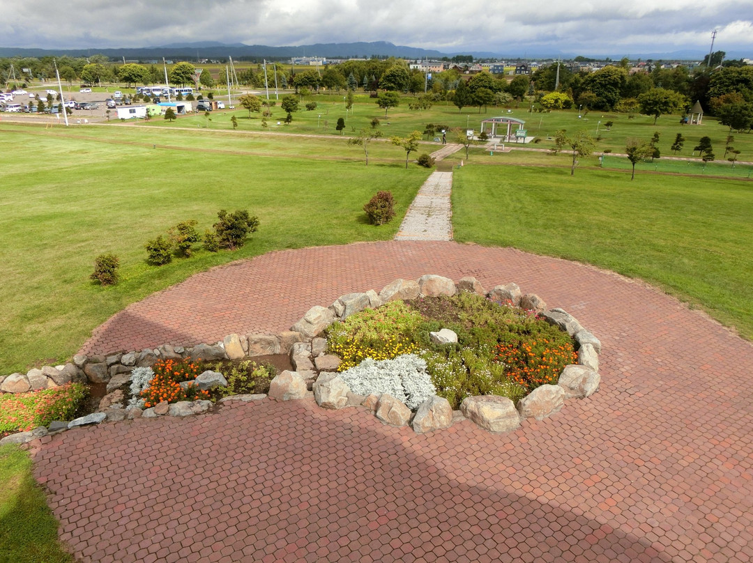 Shinotsu Park-新筱津村必去景点