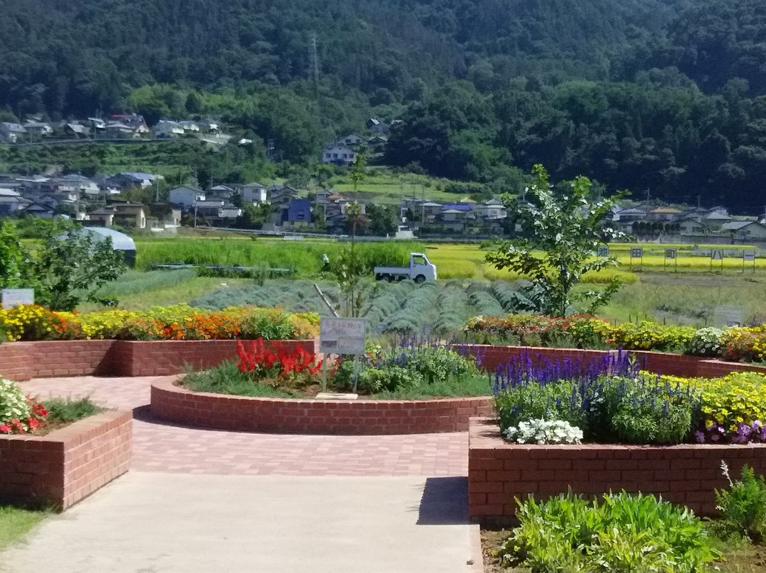 Michi no Eki Ikedamachi Herb Center景点图片