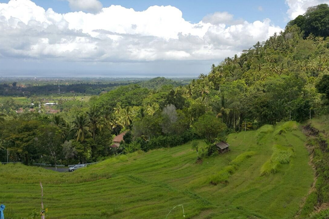 Kintamani High Plain Tour - Bali Mikan Tours景点图片