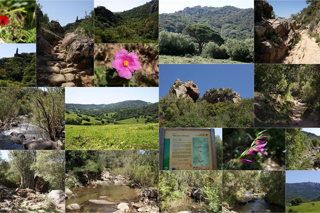 Alcala de los Gazules旅游攻略图片