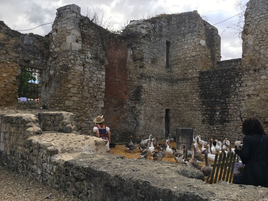 Château de Brie-Comte-Robert景点图片