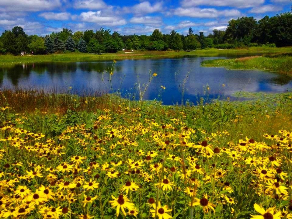 Lisle旅游攻略图片