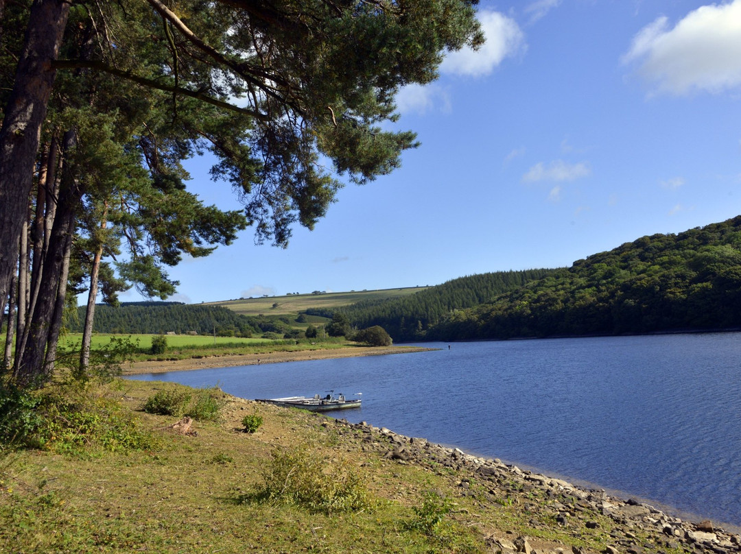 Tunstall Reservoir景点图片