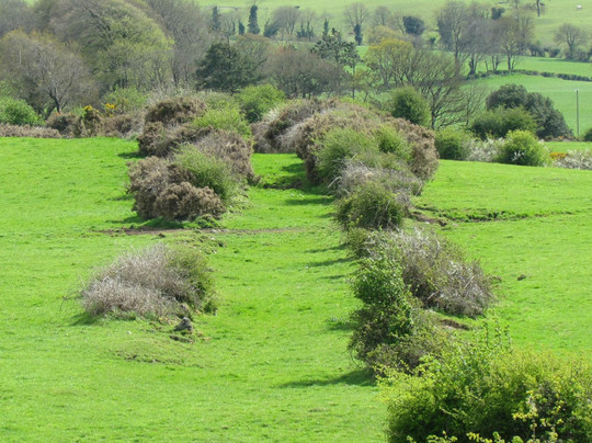 Killare旅游攻略图片