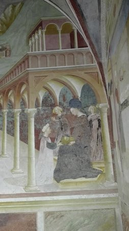 Museo della Collegiata景点图片
