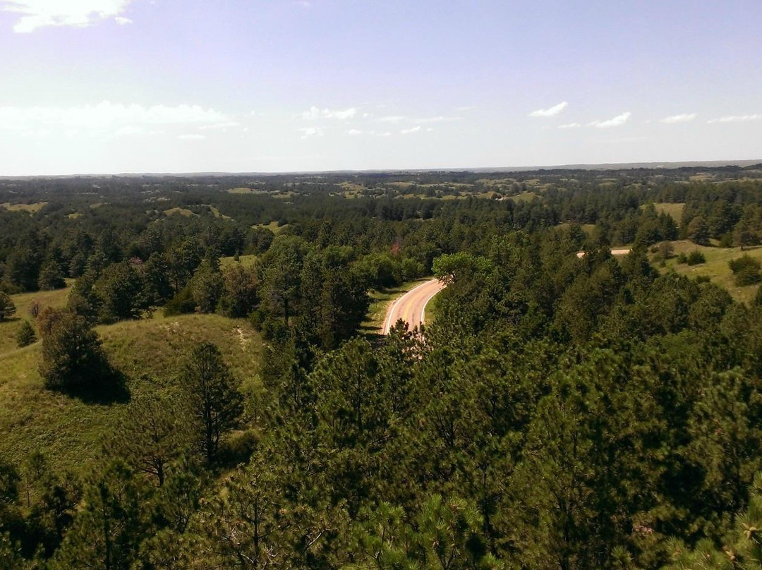 Seneca旅游景点-Nebraska National Forest