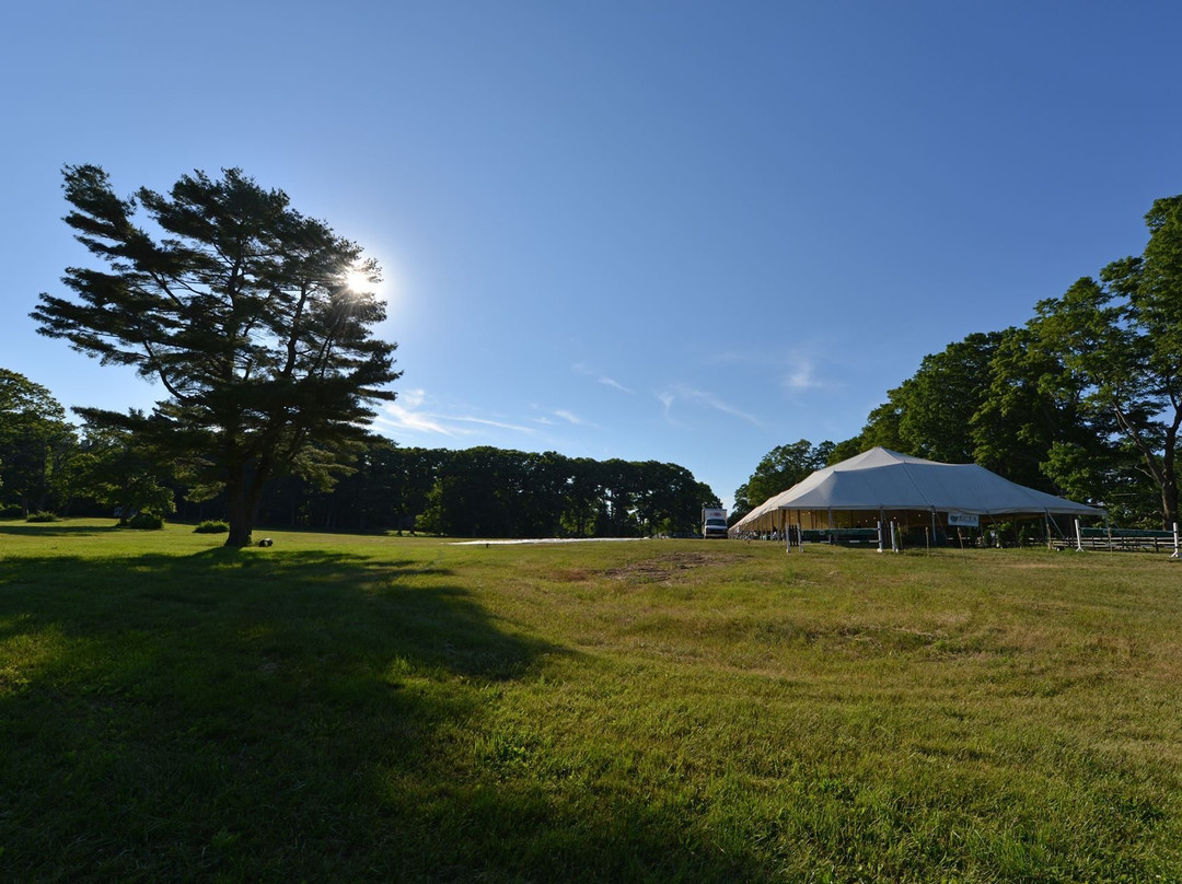 Hamilton旅游攻略图片