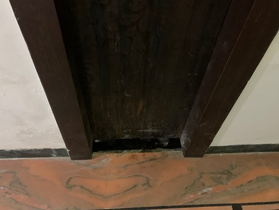 Hotel White Tulip主图