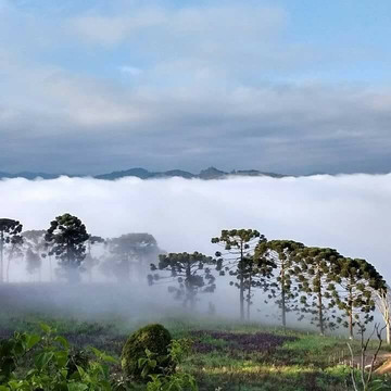 Delfim Moreira旅游攻略图片