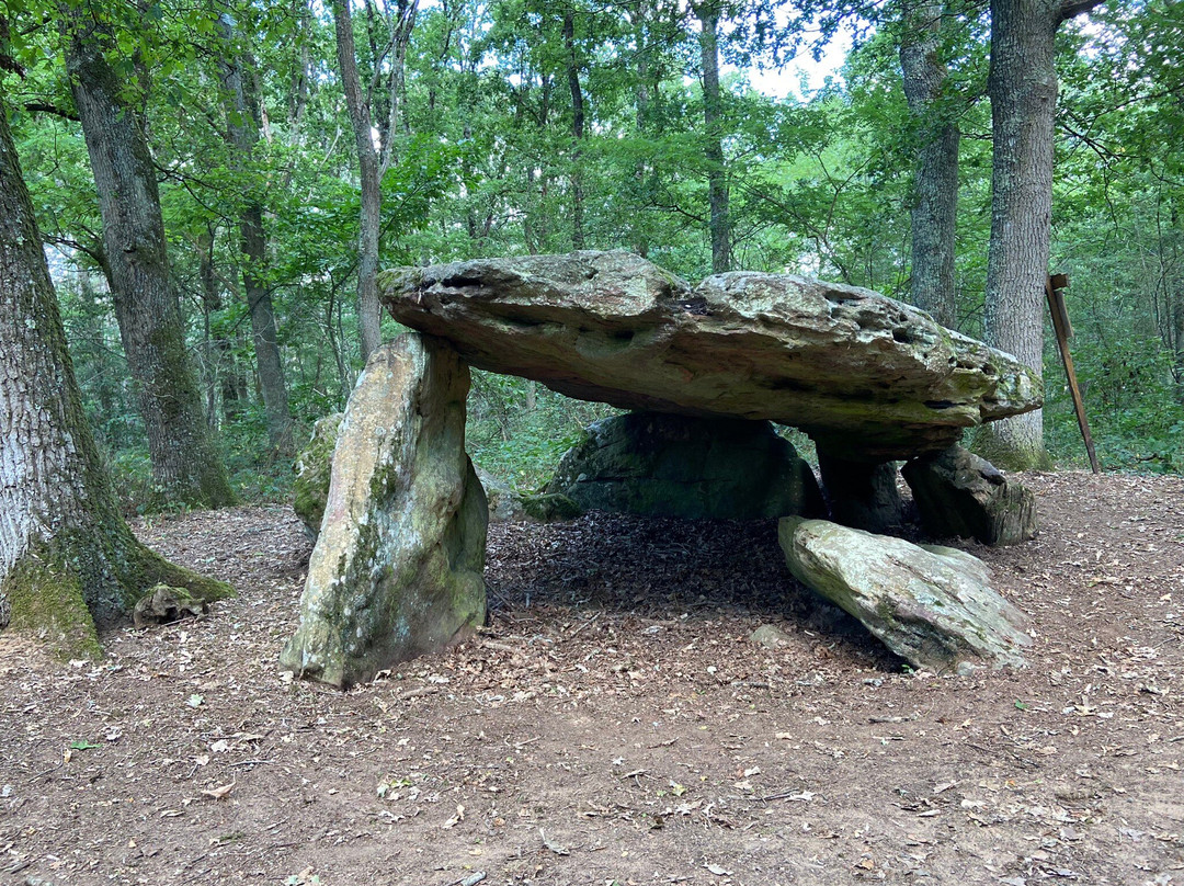 Pierre Couverte de Bué