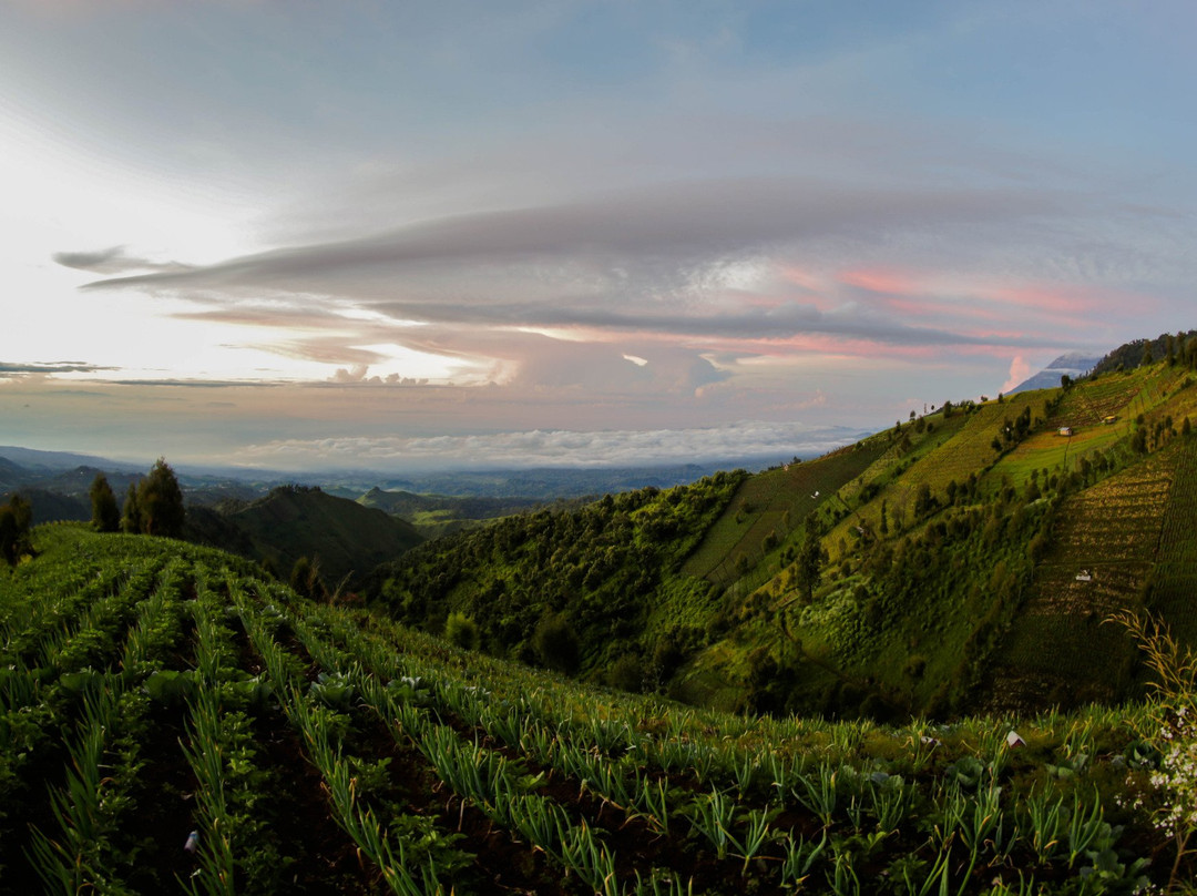 Puncak B29景点图片