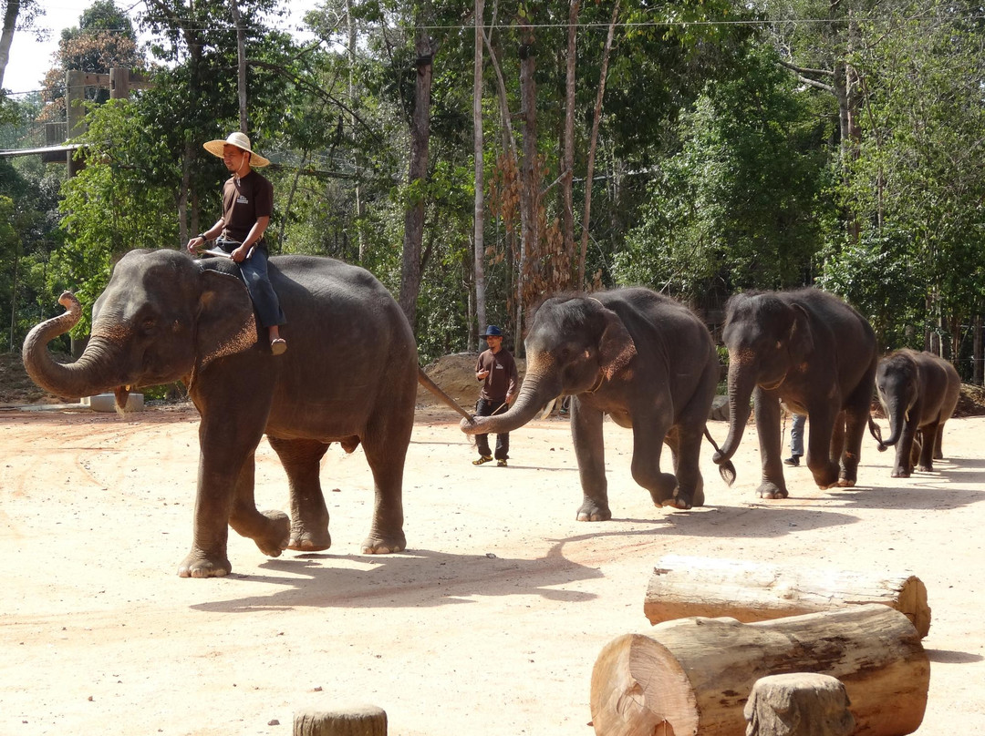 Kenyir Elephant Conservation Village景点图片