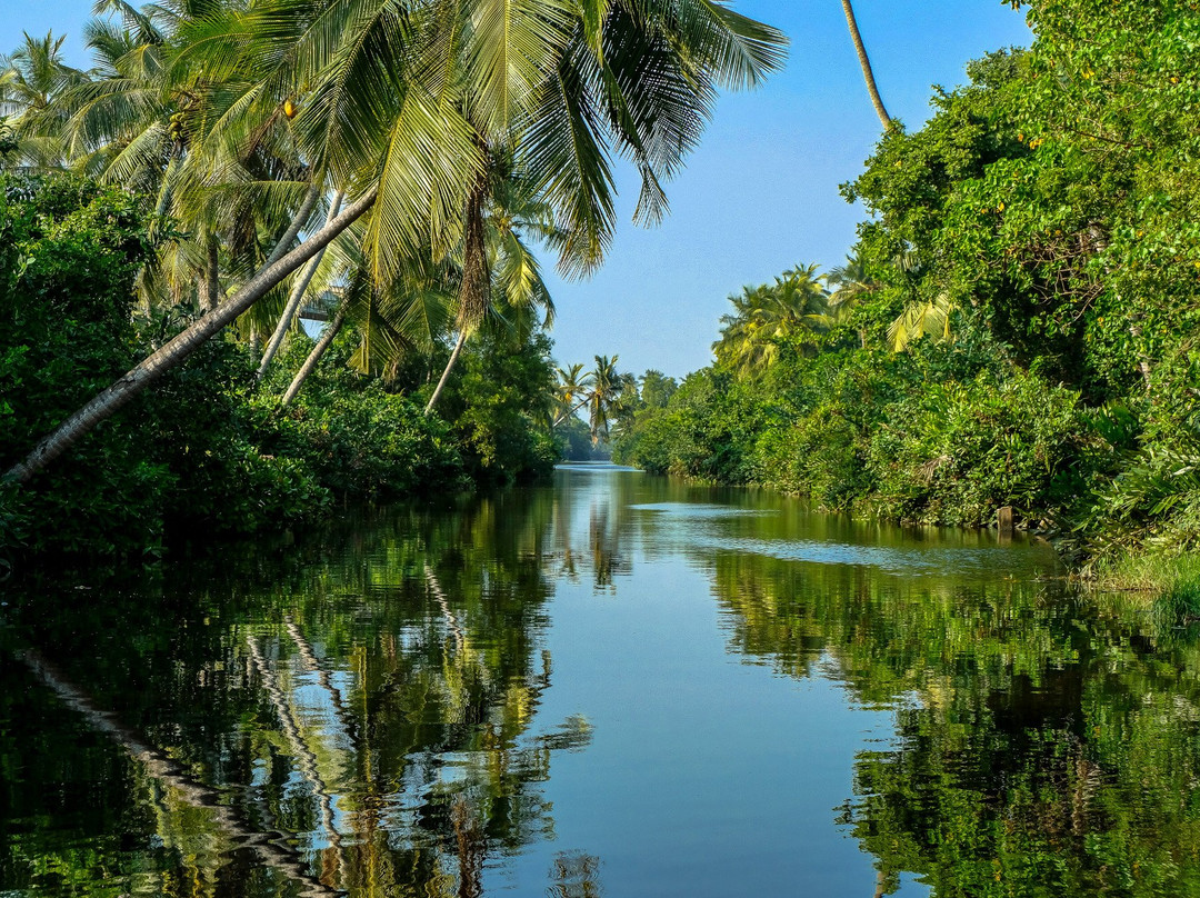 Muthurajawela Marsh-尼甘布必去景点