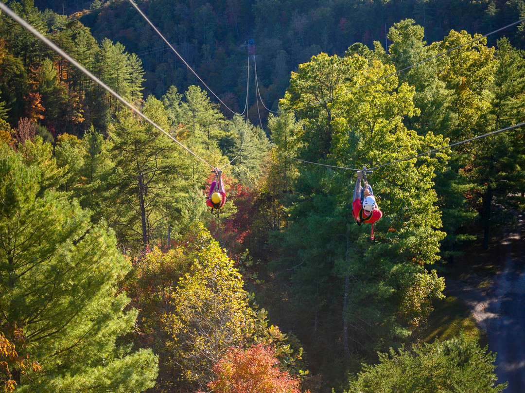 Red River Gorge Zipline-Campton必去景点