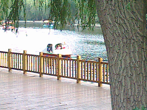 南湖公园-沈阳市必去景点