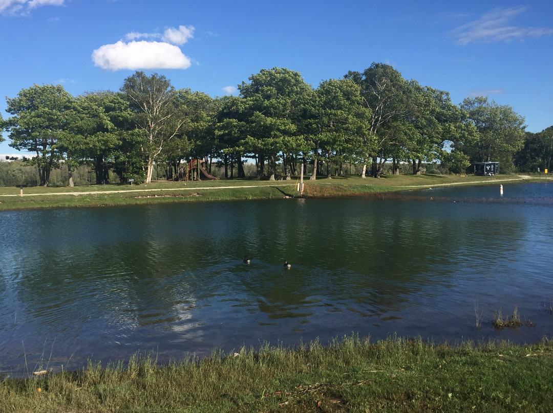 Rotary Island Park景点图片