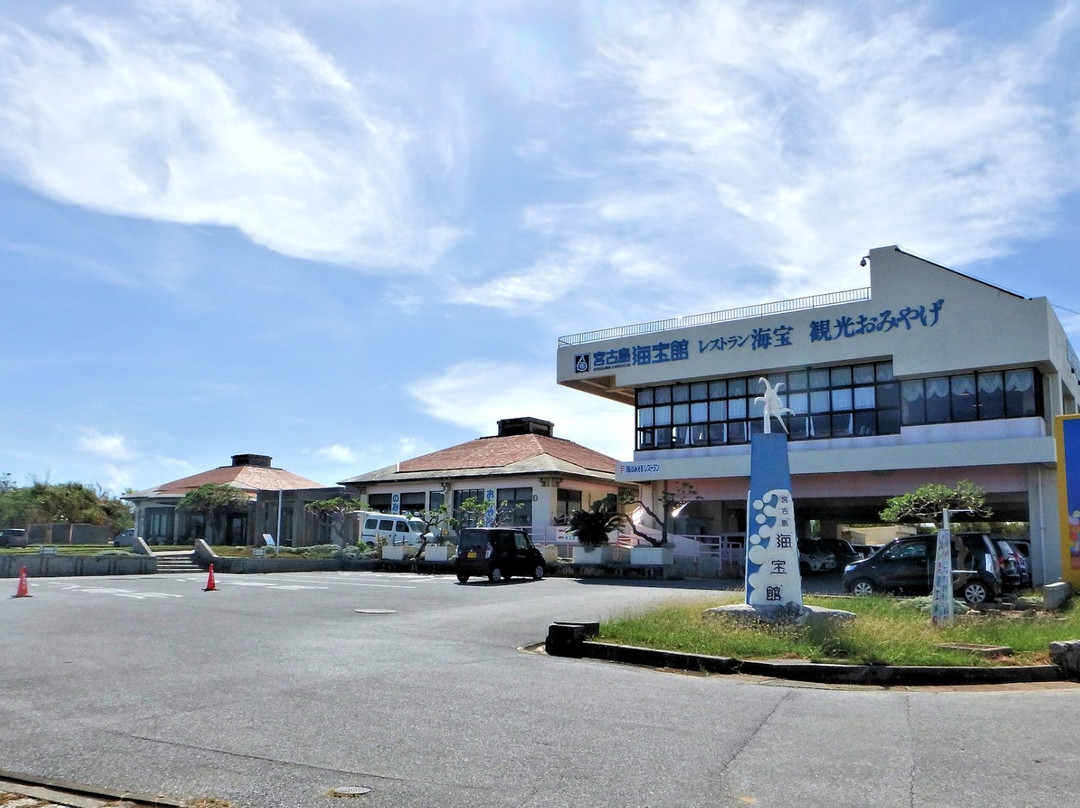 Miyakojima Sea Treasure Museum-宫古岛市必去景点