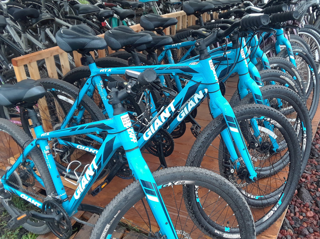 Kalapana Bike Rental-帕霍亚必去景点