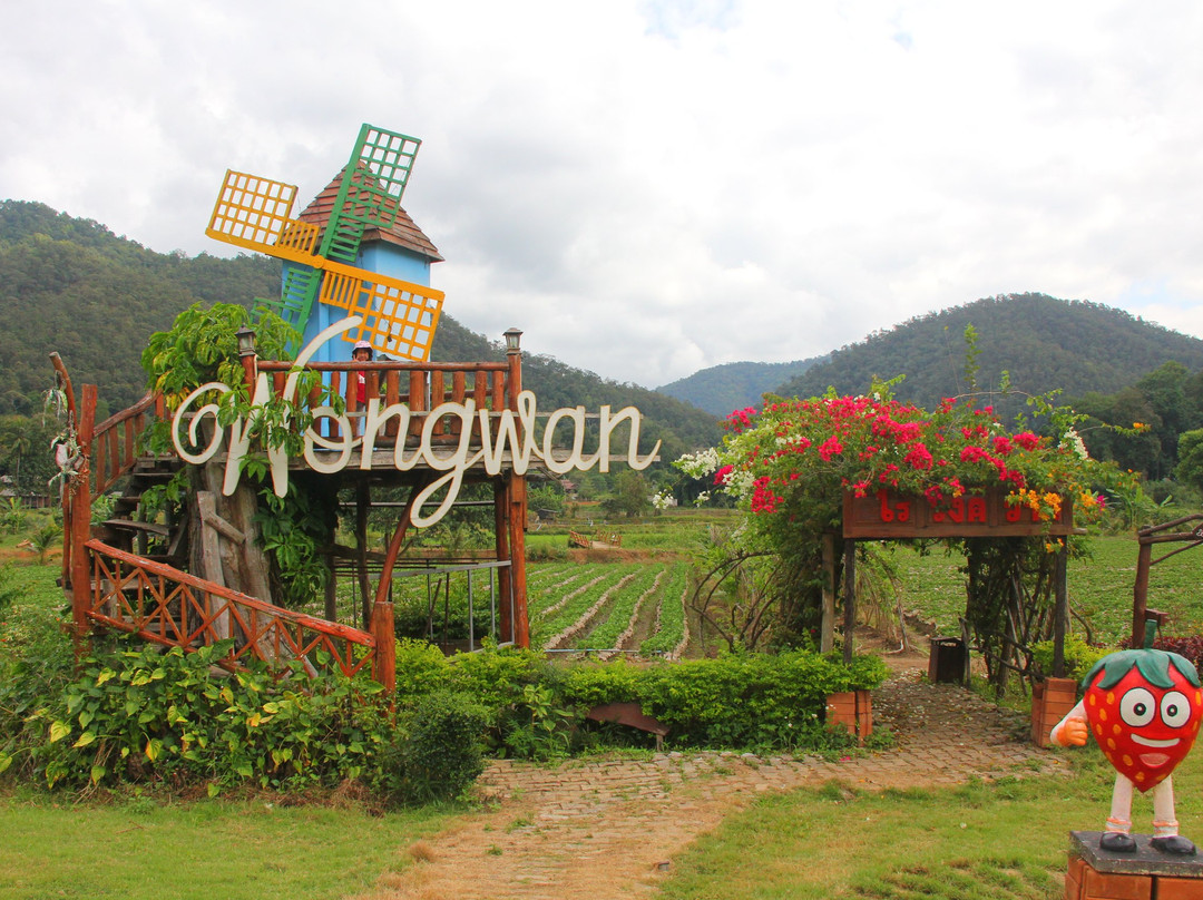 Samoeng Tai旅游景点-Wongwan Strawberry Farm