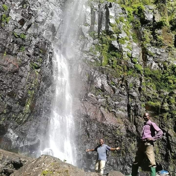 Mbokomu Waterfall And The Tallest Tree景点图片